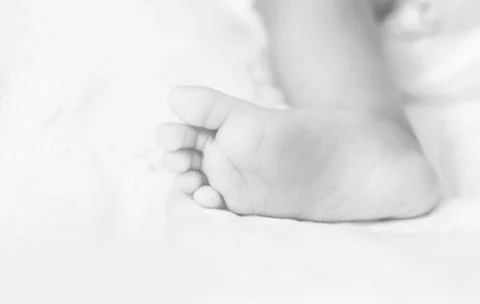 Cute leg Stock Photos