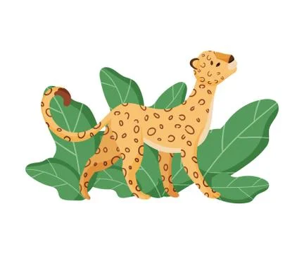 Cute Leopard Character Looking Up In the Sky Vector Illustration Stock Illustration