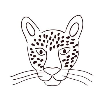 Cute leopard face hand drawn illustration, sketch. Illustrazione stock