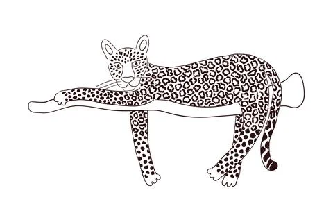 Cute leopard laying down hand drawn illustration. Stock Illustration
