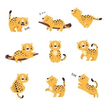 Cute Leopard or Jaguar Cub Sleeping on Tree Branch and Roaring Vector Set Stock Illustration