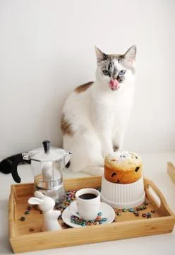 Cute licking cat and Easter still life. Coffee and cake. Espresso maker moka pot Stock Photos