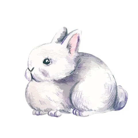 Cute light grey rabbit, hand drawn vector Stock Illustration