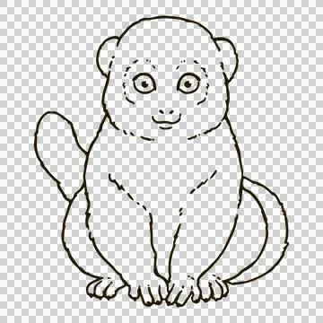 Cute line art illustration of Eastern lesser bamboo lemur Stock Illustration