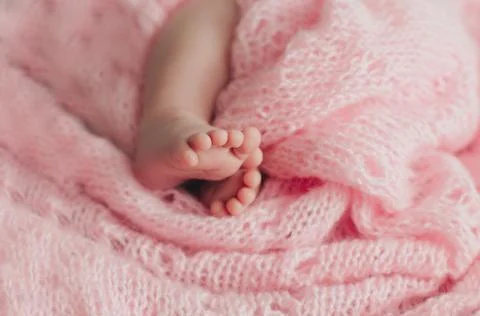 Cute little baby feet in pink blanket Stock Photos