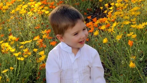 Cute Little Boy Crawls Backwards Through Flowers Video stock 96464571