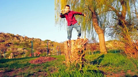 Cute little boy dancing on an old tree stump Stock Footage 94059556