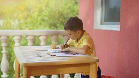 Cute little boy drawing in his album on green nature background Stock Footage 116546982