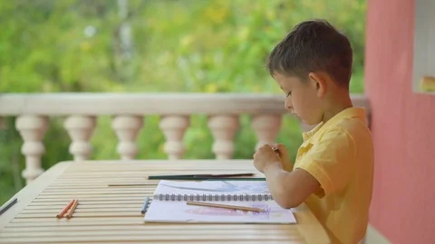 Cute little boy drawing in his album on green nature background Stock Footage 116547017