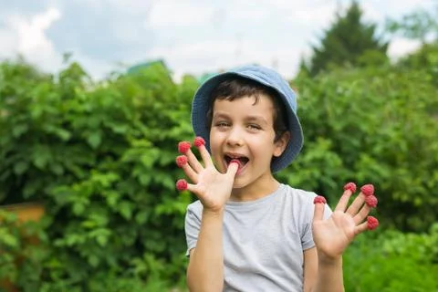 Cute little boy eats a berries from his fingers and smiles Stock Photos
