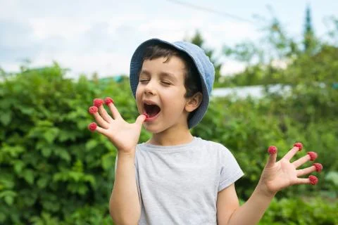 Cute little boy eats a berries from his fingers in a garden Stock Photos