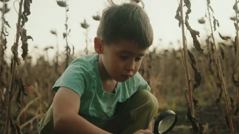 Cute little boy exploring a life of small insect on dry grass field with her 스톡 동영상 252307945