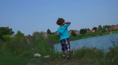 Cute Little Boy Feeding Ducks Stock Footage 11520580