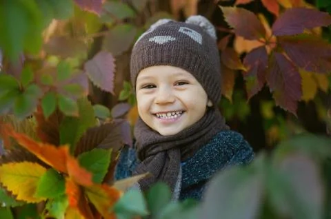 Cute little boy having fun on beautiful autumn day. Happy child playing in Stock Photos