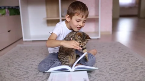 Cute little boy reading a book with a cat. Home schooling. Distance learning Stock Footage 164305526