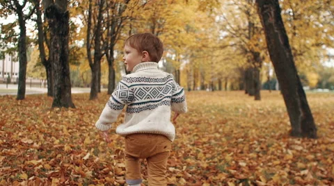 Cute little boy running through the amazing autumn alley in the park slow mo Stock Footage 68233343
