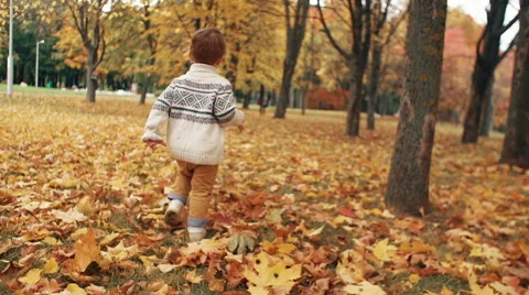 Cute little boy running through the amazing autumn alley in the park Stock Footage 68239675