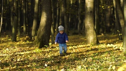 Cute little boy running through the autumn alley in the park. Slow motion Stock Footage 83097946