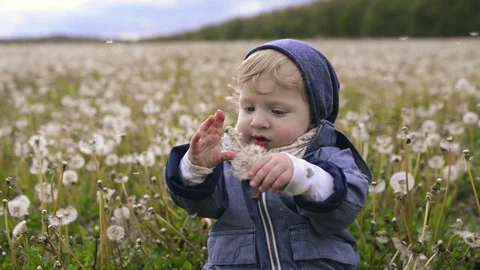 Cute little boy sitting on the ground holding dandelion. Stock Footage