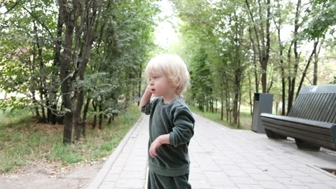 Cute little boy stands on the path in the park and smiles Stock Footage 229106109