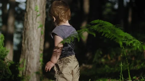 Cute little boy tasting pine and  standing alone in forest in nature 스톡 동영상 147396036