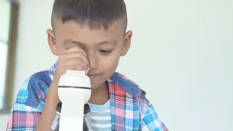 Cute little boy use microscope Stock Footage 91878637