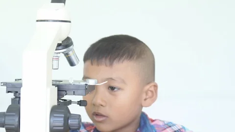 Cute little boy use microscope Stock Footage 91878670