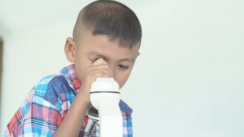Cute little boy use microscope Stock Footage 91878717
