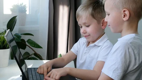 Cute little boys learning or playing on computer, distance education concept Stock Footage 129012284