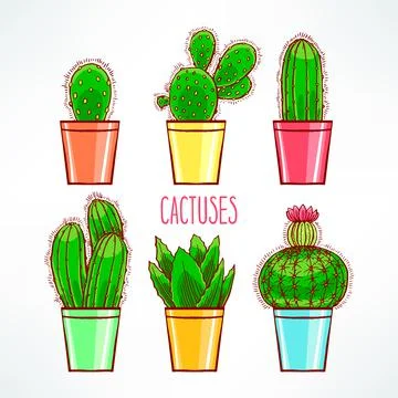 Cute little cactuses 스톡 일러스트