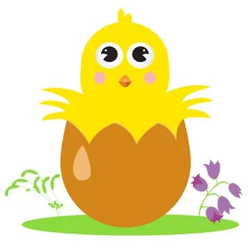 Cute little chick hatched from an egg 스톡 일러스트