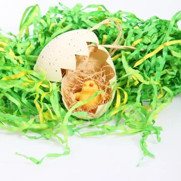 Cute little easter chicken Stock Photos