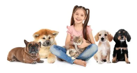 Cute little girl with her pets on white background. Banner design Stock Photos
