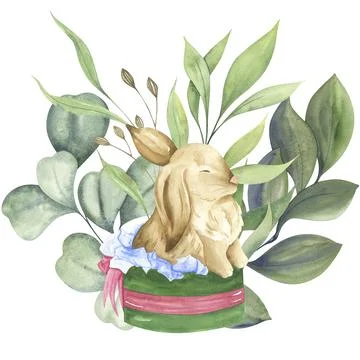 Cute little rabbit in a box. Brown bunny and wild plants. Stock Illustration