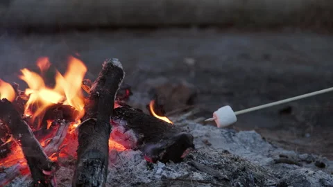 Cute little sisters roasting marshmallows on campfire. Stock Footage 228245053
