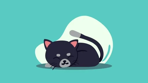 Cute little sleeping kitten motion graphic animation on a turquoise backgro.. Stock Footage 339203418