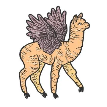 Cute llama with wings. Scratch board imitation. Color hand drawn image. Stock Illustration