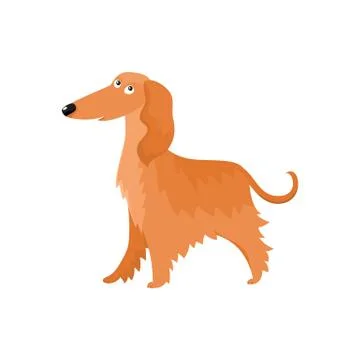 Cute long haired Afghan hound dog character, cartoon vector illustration Stock Illustration