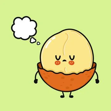 Cute macadamia nut character thinking with a thought bubble Stock Illustration