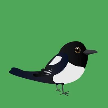 Cute magpie Illustrazione stock
