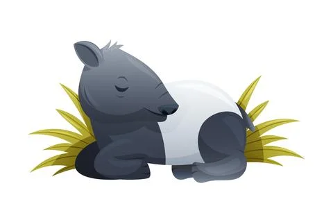 Cute Malayan Tapir Sleeping in Grass as Asian Animal with White Patch and Short Stock Illustration