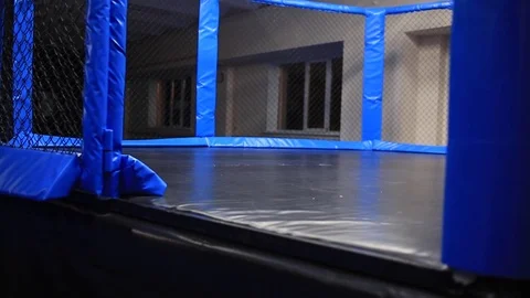 Cute male comes into the ring Stock Footage 72008585