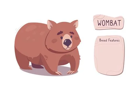 Cute marsupial beast, wombat vector. Funny burrowing animal from the Australian Stock Illustration