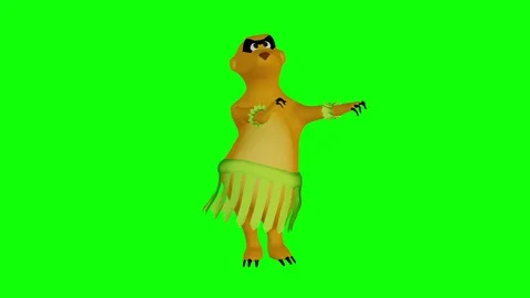 Cute meerkat hula dances - looping 3d animation Stock Footage 76496256