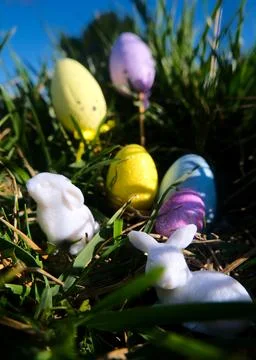 Cute Miniature Easter Egg and Bunny Toy Scene Fotos Stock