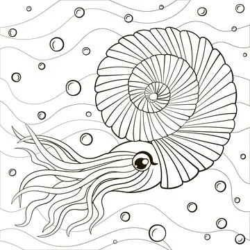 Cute mollusca character coloring page for children Stock Illustration