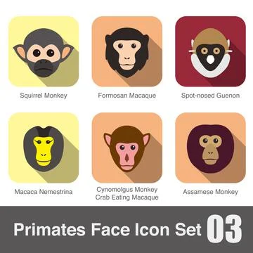 Cute monkey face flat icon set vector illustration 스톡 일러스트