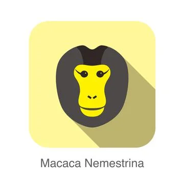 Cute monkey face, Macaca nemestrina flat icon design, vector illustration Illustrazione stock
