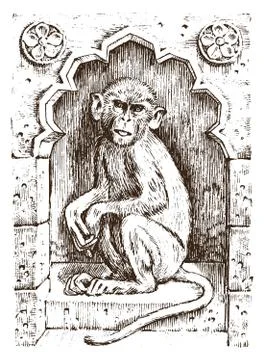 Cute monkey or vintage primate. Hand drawn, engraved wild animal. zoology Stock Illustration