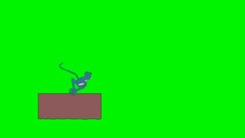 A cute monkey showing off Stock-Footage 242741143